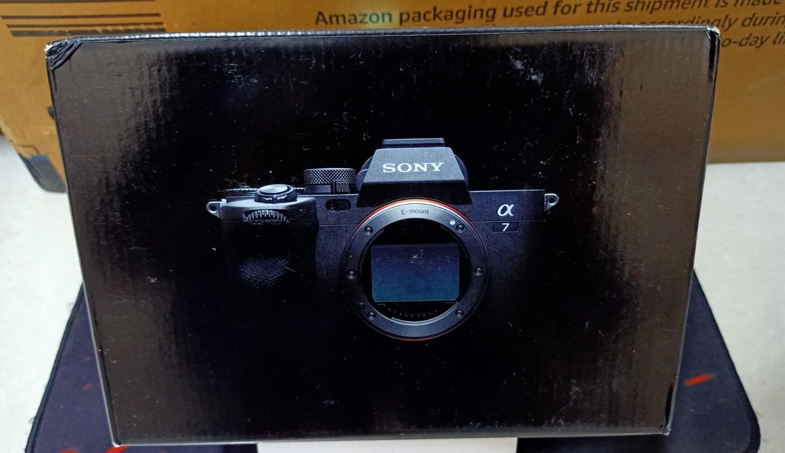 Sony Alpha ILCE-7M4 Mirrorless Camera Body in use