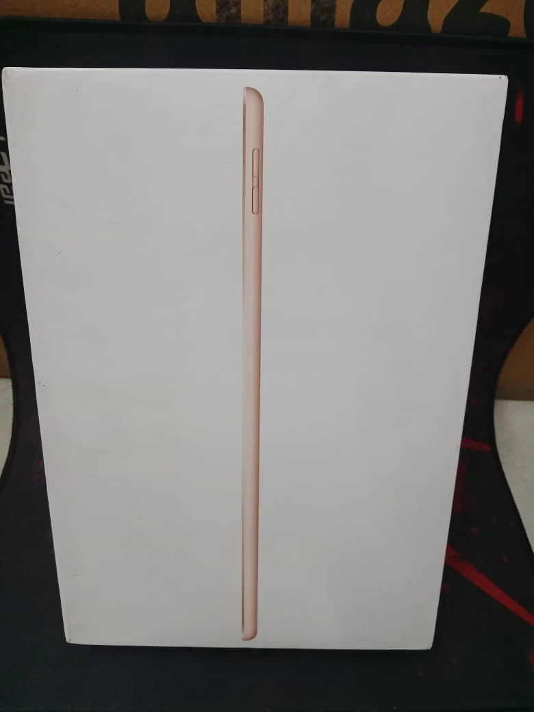 Apple iPad 10.2-inch Wi‑Fi + Cellular 32GB Gold (8th Gen) in use